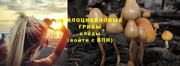 MDMA Горняк