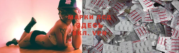 ПСИЛОЦИБИНОВЫЕ ГРИБЫ Вязьма