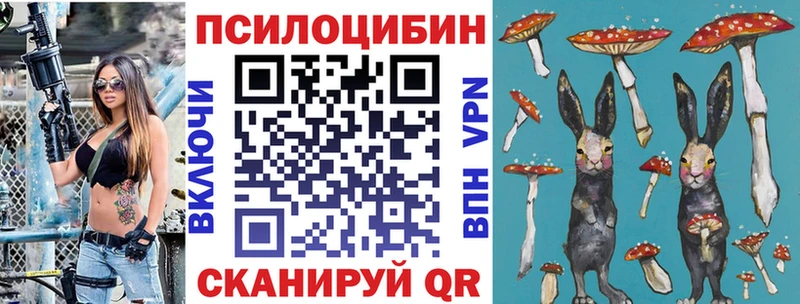 Псилоцибиновые грибы Cubensis  Энгельс 